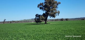 Rural / Farming commercial property sold at . Mattingly Road Brookton WA 6306 Rural / Farming commercial property sold at . Mattingly Road Brookton WA 6306