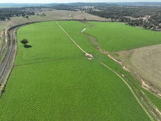 Rural / Farming commercial property sold at 'Mt Beni South' 259 Merrygoen Road Merrygoen NSW 2831 Rural / Farming commercial property sold at 'Mt Beni South' 259 Merrygoen Road Merrygoen NSW 2831