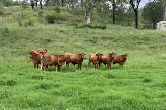 Rural / Farming commercial property sold at 789 Coppin Rd Monto QLD 4630 Rural / Farming commercial property sold at 789 Coppin Rd Monto QLD 4630