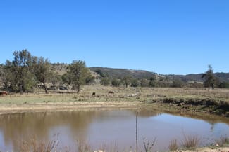 Rural / Farming commercial property sold at 203 Woodside Road Tenterfield NSW 2372