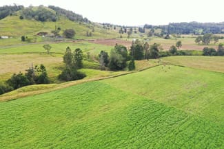 Rural / Farming commercial property sold at 590 Rock Valley Rd Lismore NSW 2480 Rural / Farming commercial property sold at 590 Rock Valley Rd Lismore NSW 2480