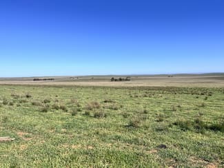 Rural / Farming commercial property sold at "Strathayr" 846 Cleary Road Sunnybrae SA 5422 Rural / Farming commercial property sold at "Strathayr" 846 Cleary Road Sunnybrae SA 5422