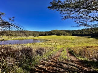 Rural / Farming commercial property sold at 3300 Great North Road Wollombi NSW 2325