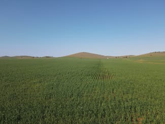 Rural / Farming commercial property sold at 274E Melrose Road Pekina SA 5431 Rural / Farming commercial property sold at 274E Melrose Road Pekina SA 5431