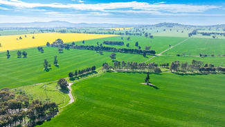 Rural / Farming commercial property sold at Olympic Highway Yerong Creek NSW 2642 Rural / Farming commercial property sold at Olympic Highway Yerong Creek NSW 2642