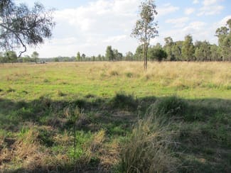 Rural / Farming commercial property sold at 160 ACRES Jandowae QLD 4410