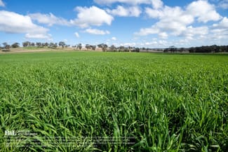 Rural / Farming commercial property sold at "Bellmain" Renshaw McGirr Way Yeoval NSW 2868 Rural / Farming commercial property sold at "Bellmain" Renshaw McGirr Way Yeoval NSW 2868