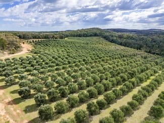 Rural / Farming commercial property sold at 'Terran Grove' 65 Lynters Road Bumbaldry NSW 2794 Rural / Farming commercial property sold at 'Terran Grove' 65 Lynters Road Bumbaldry NSW 2794