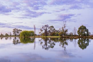Rural / Farming commercial property sold at 189 Ross Road Yoogali NSW 2680