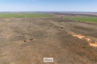 Rural / Farming commercial property for sale at 22 Hards Lane Cullulleraine VIC 3496