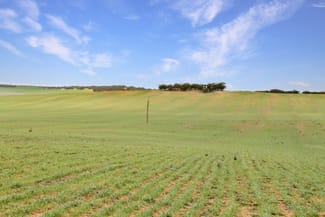 Rural / Farming commercial property sold at 844 Turners Well Road Perponda SA 5308