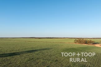 Rural / Farming commercial property for sale at 499/ Murbko Road Murbko SA 5320 Rural / Farming commercial property for sale at 499/ Murbko Road Murbko SA 5320