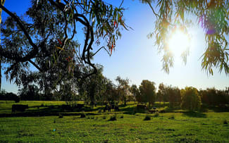 Rural / Farming commercial property sold at 745 Balmattum North Road Balmattum VIC 3666 Rural / Farming commercial property sold at 745 Balmattum North Road Balmattum VIC 3666