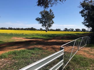 Rural / Farming commercial property sold at Lot 155 DP750852 Burley Griffin Way Ariah Park NSW 2665 Rural / Farming commercial property sold at Lot 155 DP750852 Burley Griffin Way Ariah Park NSW 2665