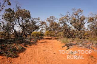 Rural / Farming commercial property sold at 1265/ Warnecke Road Monash SA 5342 Rural / Farming commercial property sold at 1265/ Warnecke Road Monash SA 5342