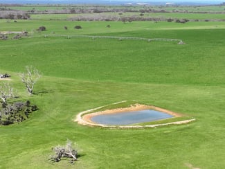 Rural / Farming commercial property sold at 2448 East West One Highway Newland SA 5223 Rural / Farming commercial property sold at 2448 East West One Highway Newland SA 5223