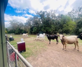 Rural / Farming commercial property for sale at 248 Middle Creek Road Sarina QLD 4737
