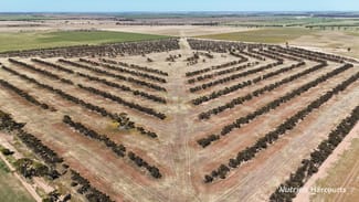 Rural / Farming commercial property sold at Lot 57 Snell Road Nangeenan WA 6414 Rural / Farming commercial property sold at Lot 57 Snell Road Nangeenan WA 6414