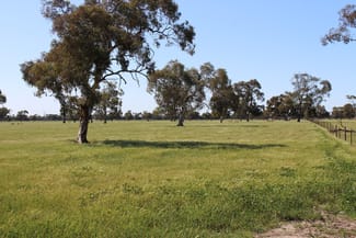 Rural / Farming commercial property sold at Allotment 33 Emu Springs Road Tintinara SA 5266
