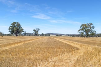 Rural / Farming commercial property sold at 325 The Rock Mangoplah Rd The Rock NSW 2655
