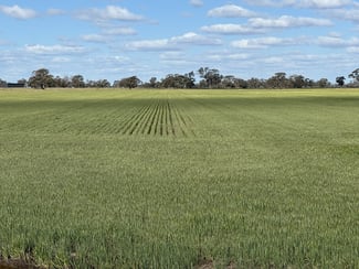 Rural / Farming commercial property sold at 2584 Moulamein Road Barham NSW 2732 Rural / Farming commercial property sold at 2584 Moulamein Road Barham NSW 2732