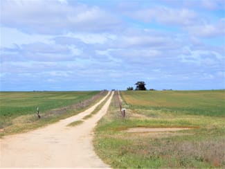 Rural / Farming commercial property for sale at 477 Beelitz Road Geranium SA 5301 Rural / Farming commercial property for sale at 477 Beelitz Road Geranium SA 5301