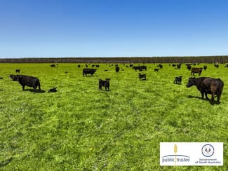 Rural / Farming commercial property sold at 364 Wilsons Road Mumbannar VIC 3304 Rural / Farming commercial property sold at 364 Wilsons Road Mumbannar VIC 3304