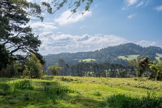 Rural / Farming commercial property sold at 2 Maugers Road Robertson NSW 2577