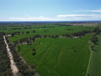 Rural / Farming commercial property sold at 3531 Yetman Road Graman NSW 2360