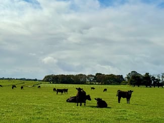 Rural / Farming commercial property sold at Princes Highway Weerite VIC 3260