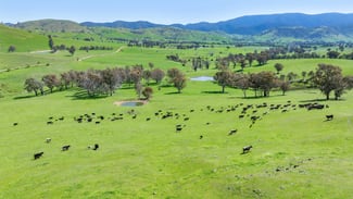 Rural / Farming commercial property for sale at 12 Evans Road Cudgewa VIC 3705 Rural / Farming commercial property for sale at 12 Evans Road Cudgewa VIC 3705