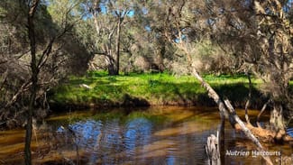 Rural / Farming commercial property sold at 638 Chitna Road Neergabby WA 6503