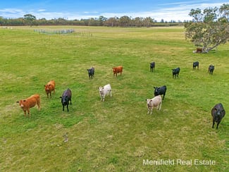 Rural / Farming commercial property sold at 3/ Bennett Road Napier WA 6330 Rural / Farming commercial property sold at 3/ Bennett Road Napier WA 6330