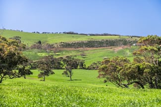 Rural / Farming commercial property sold at Lots 1474 & 10 Bennett Road Cape Jervis SA 5204