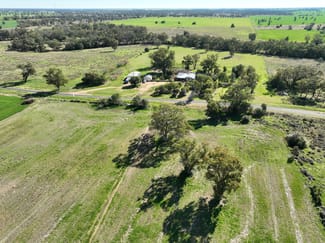 Rural / Farming commercial property sold at 'Sunshine' 52 Sunshine Street Collie NSW 2827
