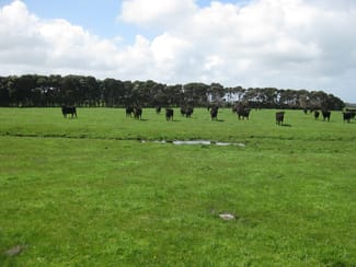 Rural / Farming commercial property sold at . Tin Mine Road Loorana TAS 7256 Rural / Farming commercial property sold at . Tin Mine Road Loorana TAS 7256