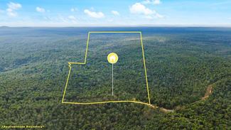 Rural / Farming commercial property sold at 369 Fortis Creek Road Fortis Creek NSW 2460