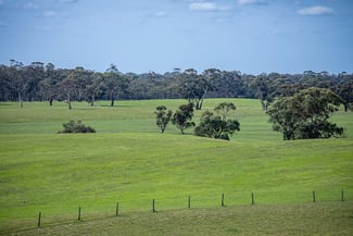 Rural / Farming commercial property sold at 220 Old Stone Tank Road Mundulla SA 5270