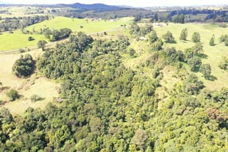 Rural / Farming commercial property for sale at 581 Theresa Creek Road Millaa Millaa QLD 4886 Rural / Farming commercial property for sale at 581 Theresa Creek Road Millaa Millaa QLD 4886