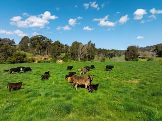 Rural / Farming commercial property sold at 315 Davies Road Warrenbayne VIC 3670 Rural / Farming commercial property sold at 315 Davies Road Warrenbayne VIC 3670