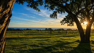 Rural / Farming commercial property for sale at Harrisons Road Dromana VIC 3936