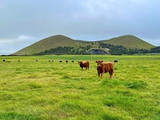 Rural / Farming commercial property sold at 65 Chatsworth Road Derrinallum VIC 3325 Rural / Farming commercial property sold at 65 Chatsworth Road Derrinallum VIC 3325