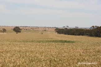 Rural / Farming commercial property sold at . Cnr Nembudding South Road & Hammond Road Korrelocking WA 6485