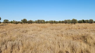 Rural / Farming commercial property sold at 3930 MIDDLE ROAD Mitchell QLD 4465 Rural / Farming commercial property sold at 3930 MIDDLE ROAD Mitchell QLD 4465