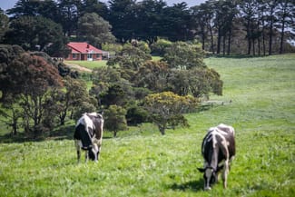Rural / Farming commercial property sold at 15A Bennett Road Cape Jervis SA 5204 Rural / Farming commercial property sold at 15A Bennett Road Cape Jervis SA 5204