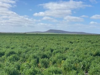 Rural / Farming commercial property sold at 1830 Chilmans Road Butler SA 5605 Rural / Farming commercial property sold at 1830 Chilmans Road Butler SA 5605