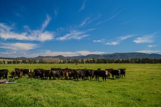 Rural / Farming commercial property sold at 931 Martindale Road Denman NSW 2328