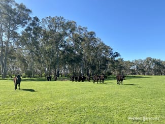 Rural / Farming commercial property sold at 1 North Killara Road Bahgallah VIC 3312 Rural / Farming commercial property sold at 1 North Killara Road Bahgallah VIC 3312