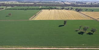 Rural / Farming commercial property for sale at "Allandale" 7861 Lachlan Valley Way Forbes NSW 2871 Rural / Farming commercial property for sale at "Allandale" 7861 Lachlan Valley Way Forbes NSW 2871