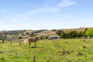 Rural / Farming commercial property sold at 123 Fisher Road Goulburn NSW 2580 Rural / Farming commercial property sold at 123 Fisher Road Goulburn NSW 2580